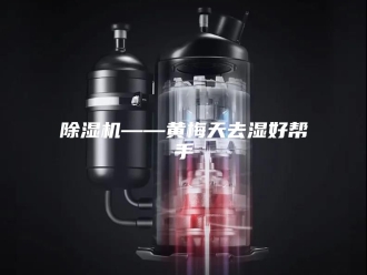 企业新闻除湿机——黄梅天去湿好帮手