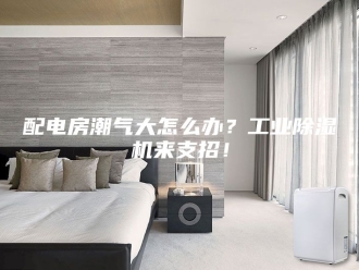 企业新闻配电房潮气大怎么办？工业除湿机来支招！