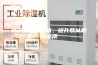 柿饼烘干除湿机，提升恭城柿饼品质