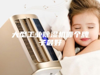 行业新闻大型工业除湿机哪个牌子最好