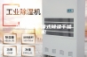 济南输送一体式除湿干燥机