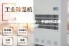 博物馆独立展柜，书画恒温恒湿柜