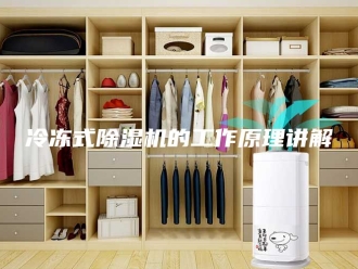 常见问题冷冻式除湿机的工作原理讲解