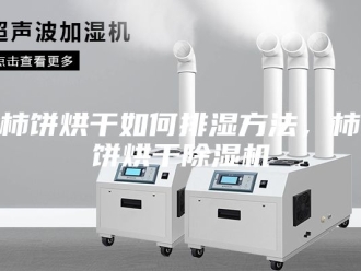 行业新闻柿饼烘干如何排湿方法，柿饼烘干除湿机