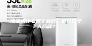 除湿机什么牌子最好，推荐几个大品牌？