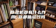 除湿机都有什么作用 你都体验过吗