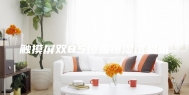 触摸屏双85恒温恒湿试验箱