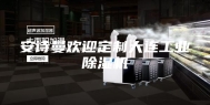 安诗曼欢迎定制大连工业除湿机