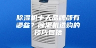 除湿机十大品牌都有哪些？除湿机选购的技巧包括