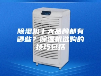 企业新闻除湿机十大品牌都有哪些？除湿机选购的技巧包括