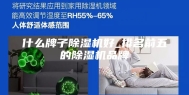什么牌子除湿机好_排名前五的除湿机品牌