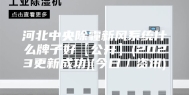 河北中央除霾新风系统什么牌子好【公开】(2023更新成功)(今日／资讯)