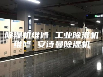 企业新闻除湿机维修 工业除湿机维修 安诗曼除湿机