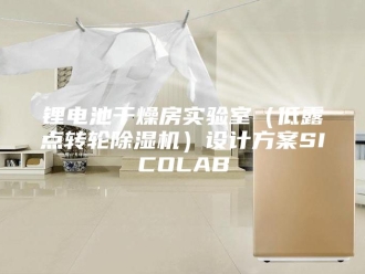 企业新闻锂电池干燥房实验室（低露点转轮除湿机）设计方案SICOLAB