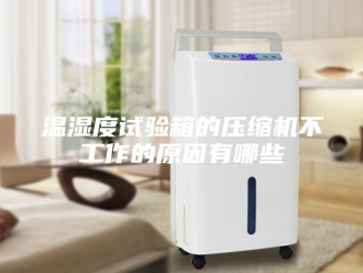 知识百科温湿度试验箱的压缩机不工作的原因有哪些
