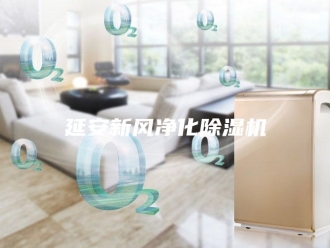 行业新闻延安新风净化除湿机