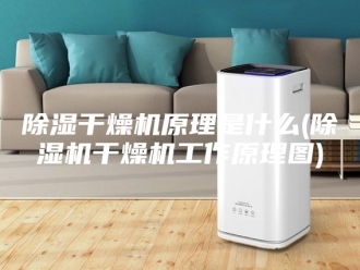 企业新闻除湿干燥机原理是什么(除湿机干燥机工作原理图)