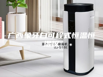 常见问题广西象牙白可程式恒温恒湿仪