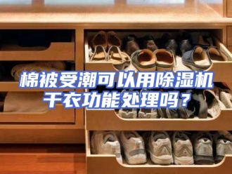 行业新闻棉被受潮可以用除湿机干衣功能处理吗？