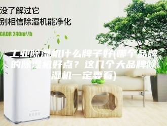 行业新闻工业除湿机什么牌子好(哪个品牌的除湿机好点？这几个大品牌除湿机一定要看)