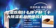 除湿器用什么牌子好（十大除湿机品牌排名介绍）