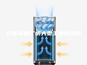 常见问题仓库车间厂房大型工业除湿机