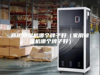 行业新闻商用除湿机哪个牌子好（家用除湿机哪个牌子好）