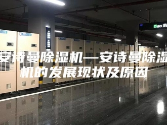企业新闻安诗曼除湿机—安诗曼除湿机的发展现状及原因