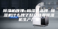 除湿机原理 除湿机品牌 除湿机什么牌子好安诗曼除湿机生产厂家