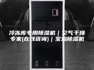 常见问题冷冻库专用除湿机｜空气干燥专家(在线咨询)｜宝鸡除湿机