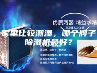 行业新闻家里比较潮湿，哪个牌子除湿机最好？