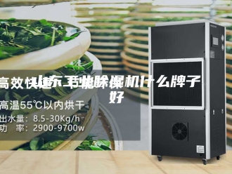 行业新闻山东工业除湿机什么牌子好