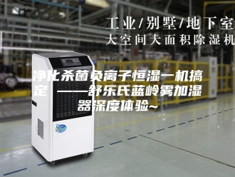 知识百科净化杀菌负离子恒湿一机搞定 ——舒乐氏蓝岭雾加湿器深度体验~