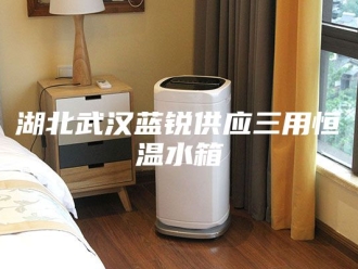 常见问题湖北武汉蓝锐供应三用恒温水箱