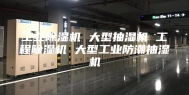 工业除湿机 大型抽湿机 工程除湿机 大型工业防潮抽湿机