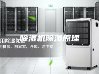企业新闻除湿机除湿原理