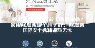 除湿机品牌排名前十的是哪些？家用除湿机哪个牌子好，除湿机十大排名