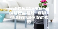 可程式恒温恒湿箱 可编程智能程控 直销 可编程恒温恒湿试验箱
