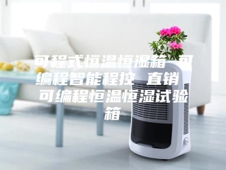 知识百科可程式恒温恒湿箱 可编程智能程控 直销 可编程恒温恒湿试验箱