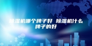 除湿机哪个牌子好 除湿机什么牌子的好