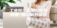 工业除湿机常见故障现象 除湿机具体应用