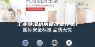 工业除湿机的原理是什么？