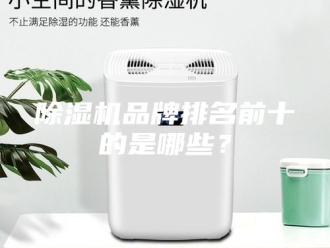 企业新闻除湿机品牌排名前十的是哪些？