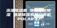 泳池除湿机 泳池热泵除湿 泳池除湿热泵空调机 POLAR生产