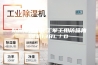 防爆除湿机化工军工用防爆抽湿机138L／D