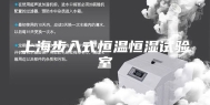上海步入式恒温恒湿试验室