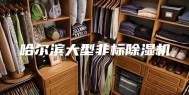 哈尔滨大型非标除湿机