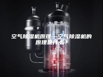 行业新闻空气除湿机原理—空气除湿机的原理是什么？