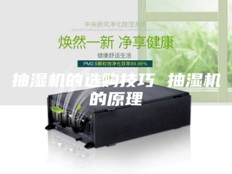 企业新闻抽湿机的选购技巧 抽湿机的原理