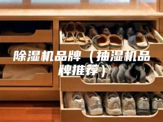 企业新闻除湿机品牌（抽湿机品牌推荐）
